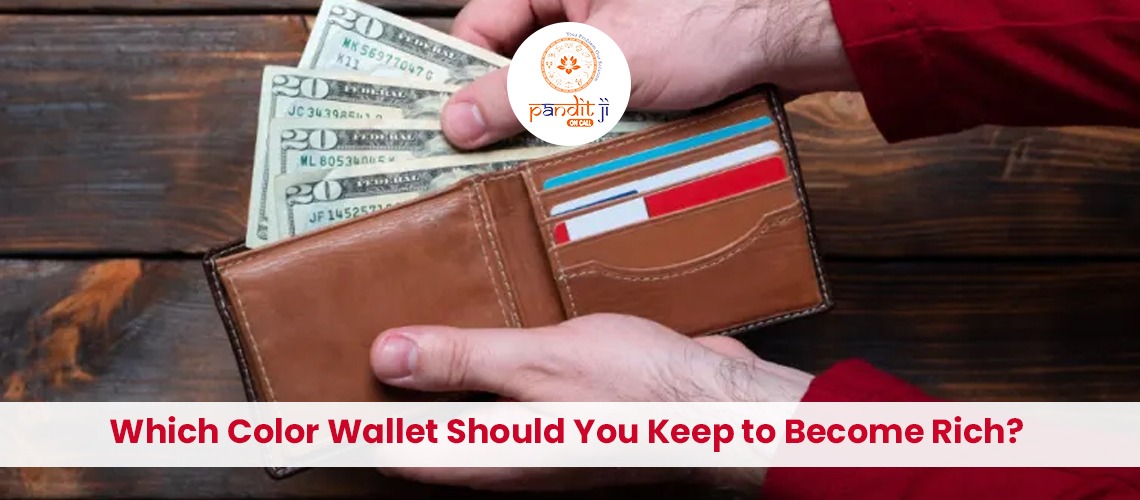 Which Color Wallet Should You Keep to Become Rich